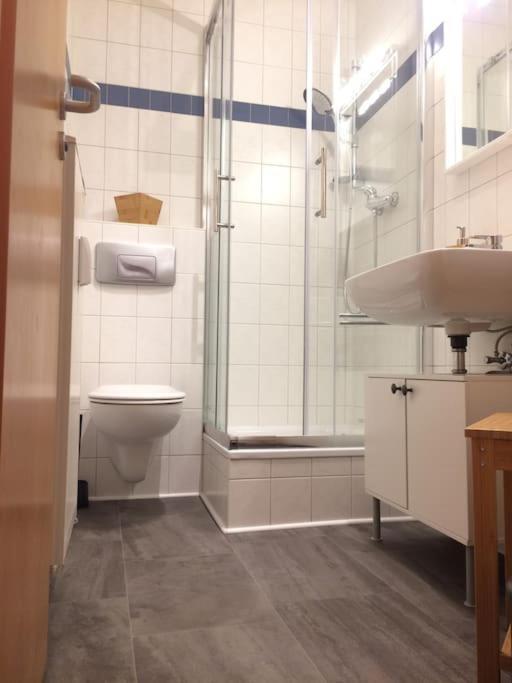 Apartment In It District Neustadt Louisenstrasse Dresden